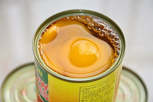 還記得 春風十里 的紅燒肉罐頭嗎