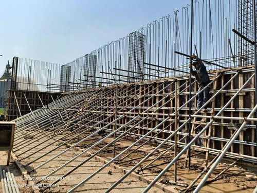 劉曉峰一行蒞臨玻利維亞圣胡利安大豆副產(chǎn)品加工廠項目并慰問員工